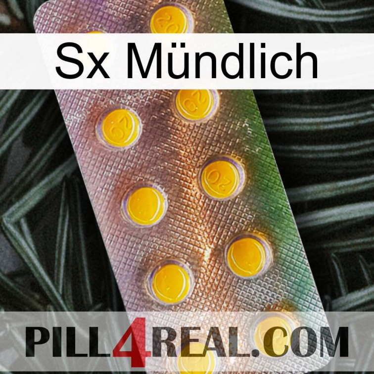 Sx Mündlich new11